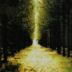 Enter the Kingdom of Night